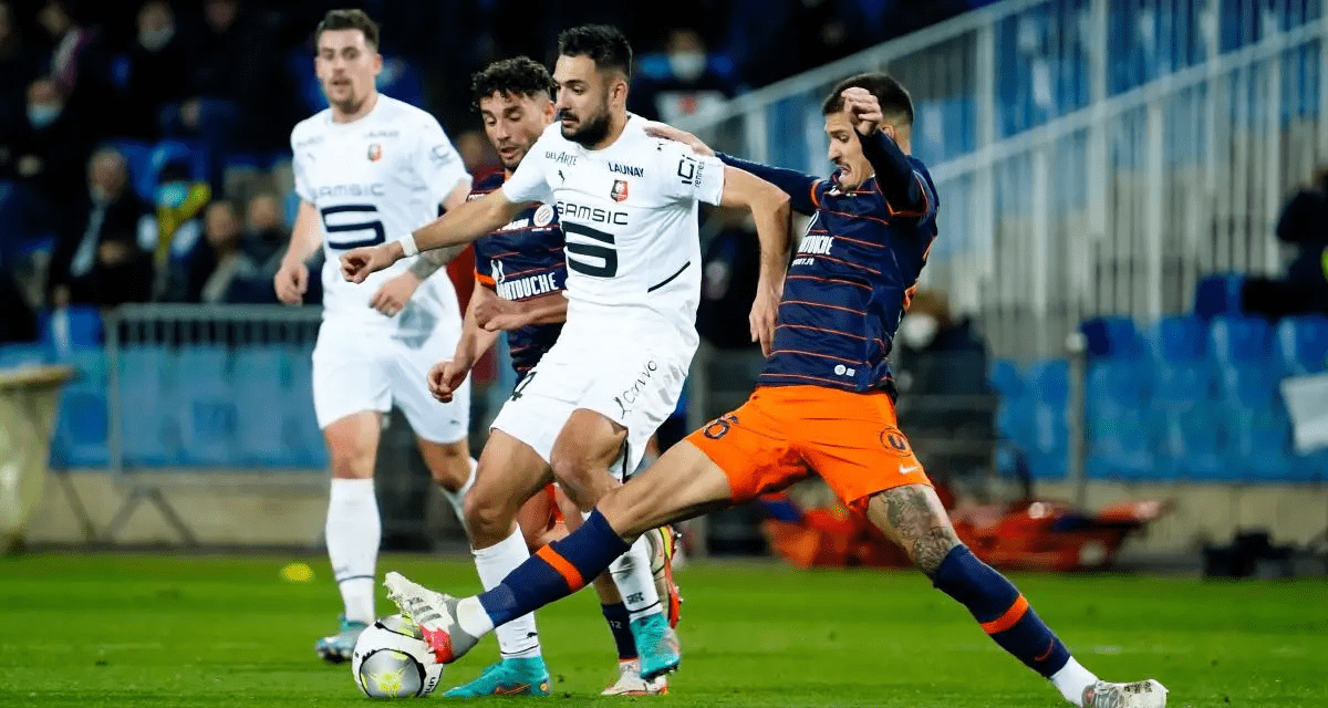 赛后法国杯焦点战，萨克拉门托国王篮板制胜，压力陡增，更衣室氛围转暖(缅北内战最新战况)